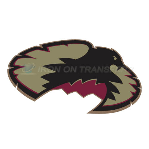 Denver Pioneers Iron-on Stickers (Heat Transfers)NO.4256